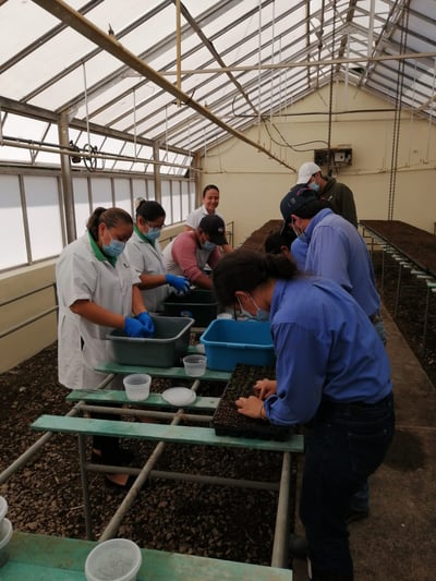 Zamorano students in the nursery