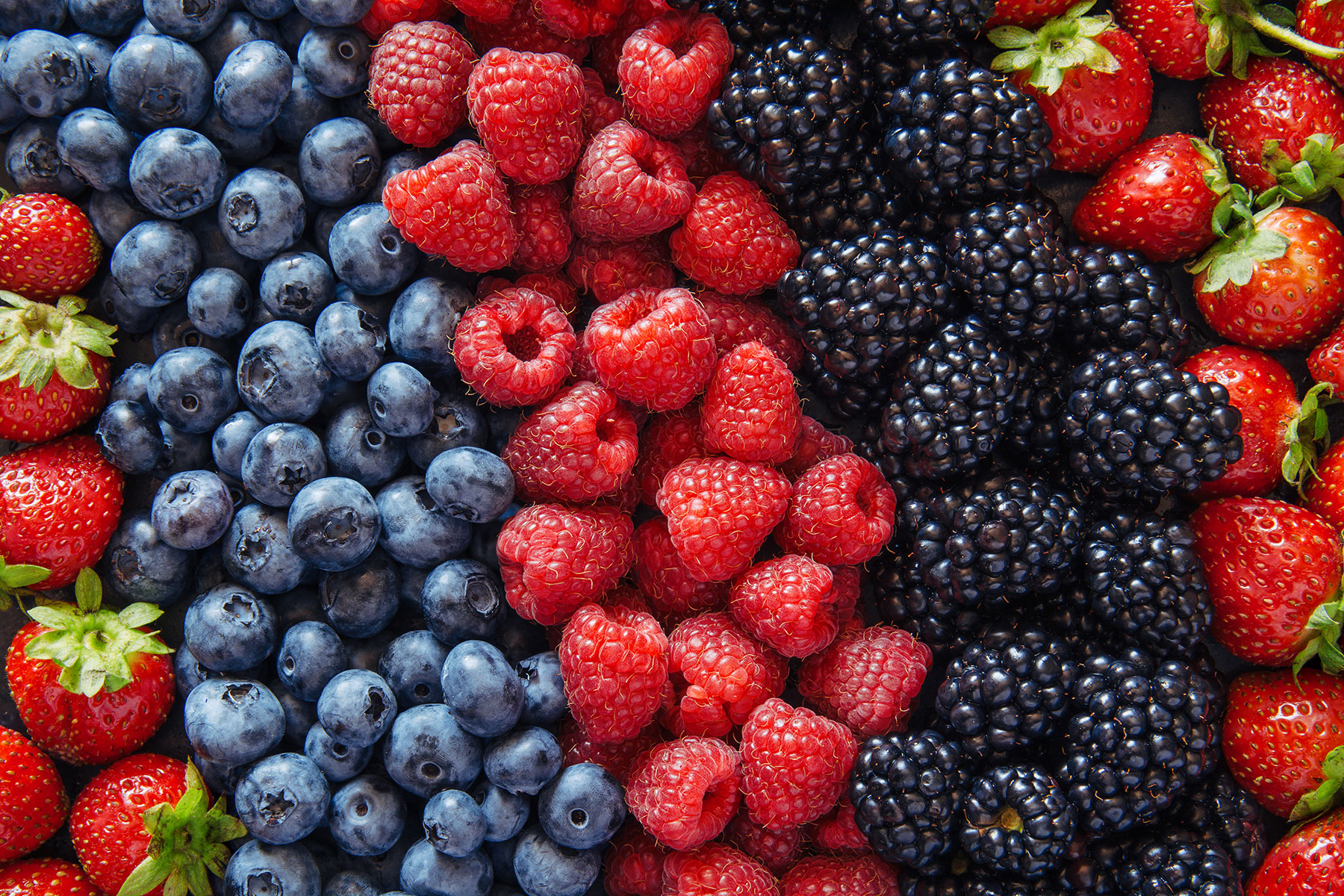 Tasty deal? Durham food tech startup cultivates plan to bring new breeds of berries to market