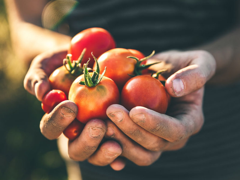 Weird new fruits could hit aisles soon thanks to gene-editing