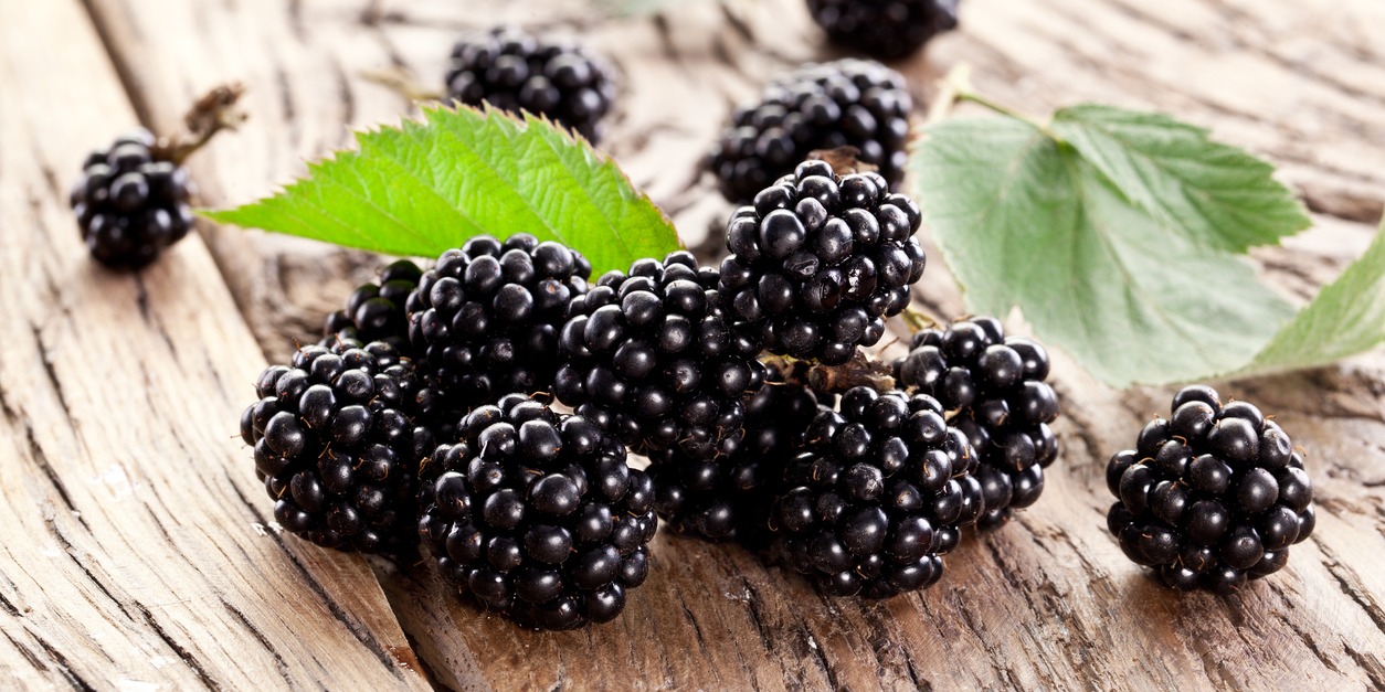 blackberries on table