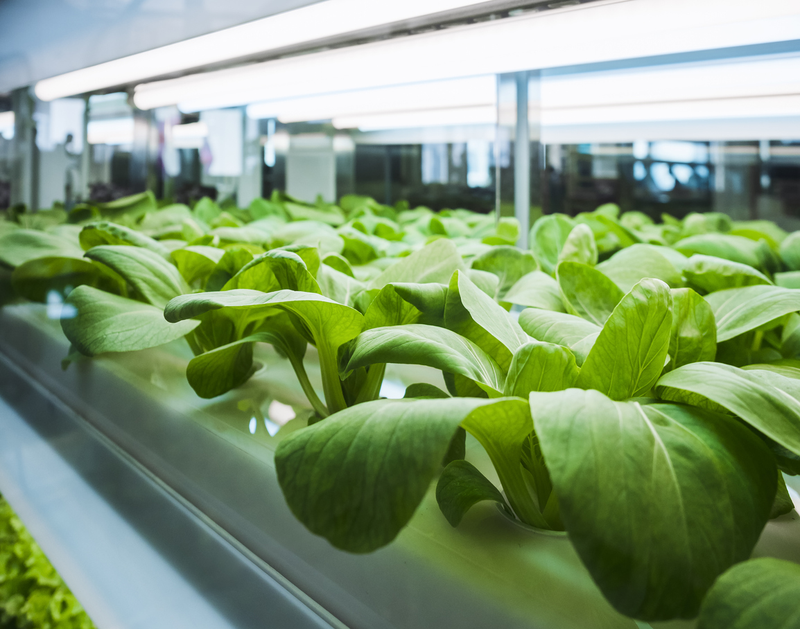 What Leading Agricultural Technology Companies Want Food Retailers to Know
